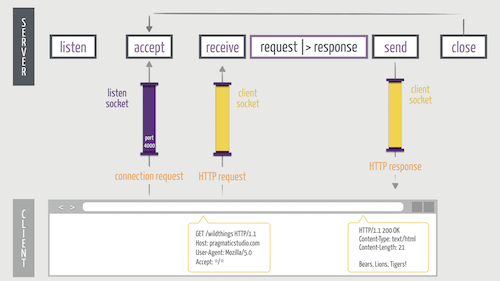 Socket timeline